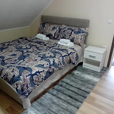 Apartment Anci *